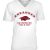 Premium V-Neck Tee