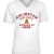 Premium V-Neck Tee
