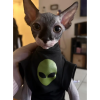 Alien Head