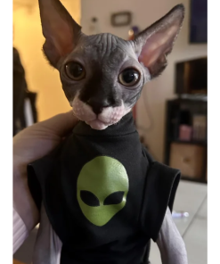 Alien Head