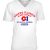 Premium V-Neck Tee