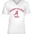 Premium V-Neck Tee