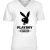 Premium V-Neck Tee