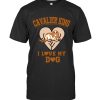 Cavalier King Charles Spaniel For Adoption Near Me