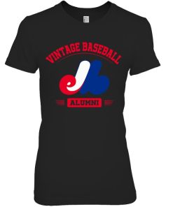 The-Remake-of-Vintage-Baseball-(from-the-creator-of-VINTAGE-BASEBALL)
