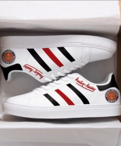 Austin Healey Skate Stan Smith New Shoes