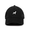 Chihuahua cap.*