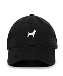Chihuahua cap.*