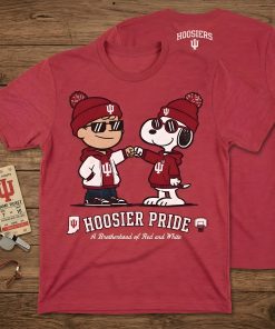 Indiana hoosiers pride tee